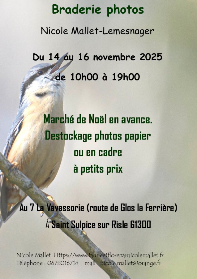 Braderie Photos