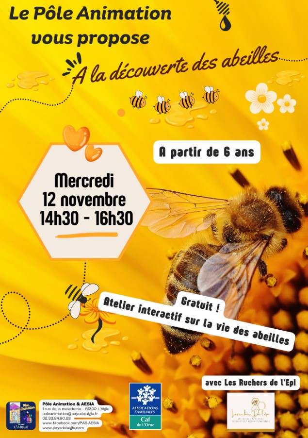 A la découverte des abeilles