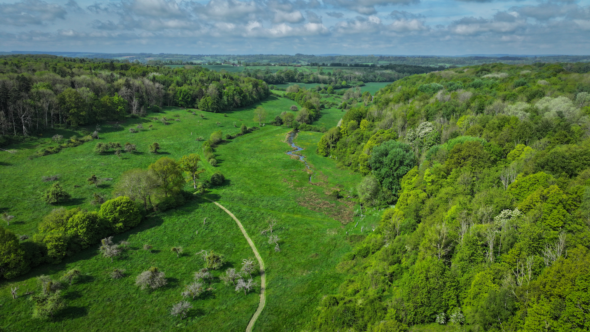Soirée de présentation de la “Libre-évolution”
