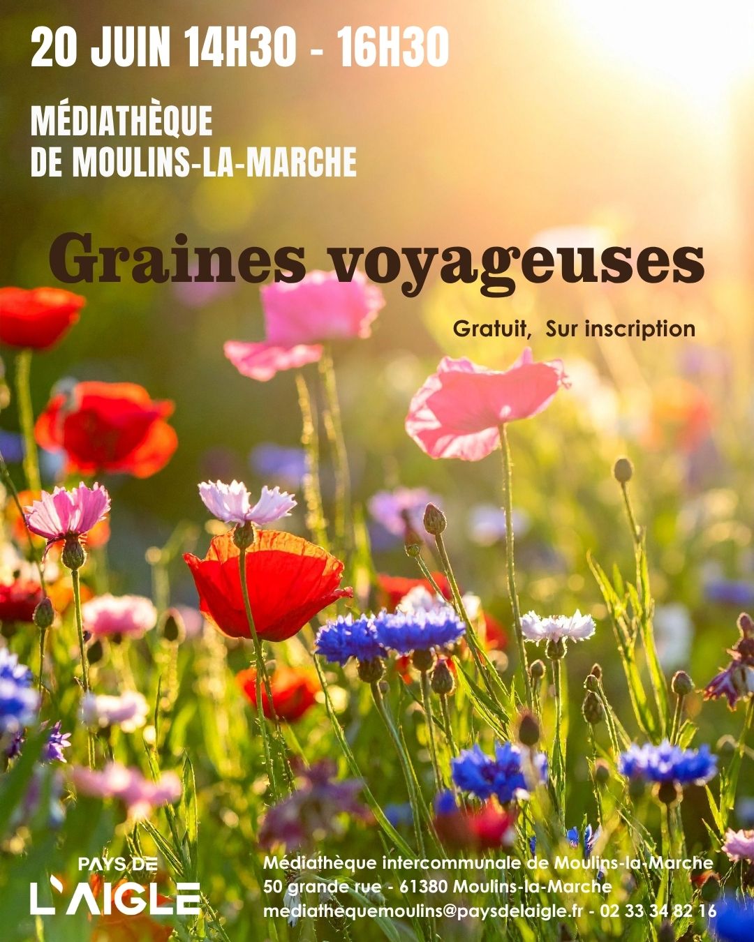 Graines Voyageuses