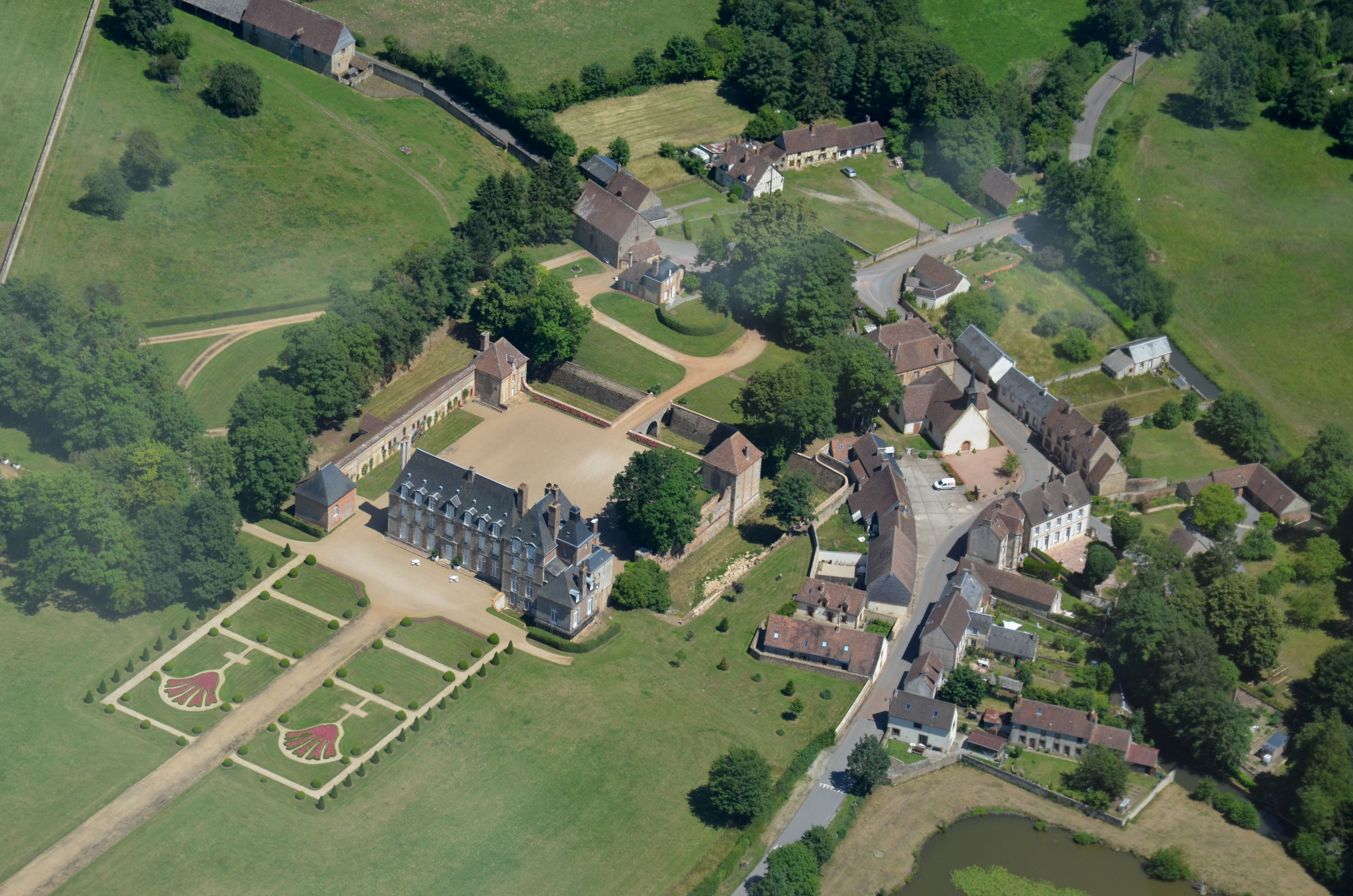 Pigeons voyageurs communication d’Antan