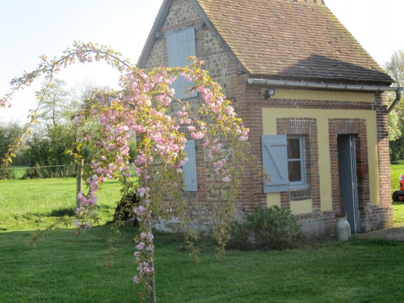 HLONOR061FS00093 G570 41666fe6284043f2a559bd5c25a877ce