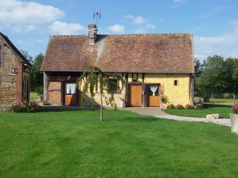 HLONOR061FS00093 G570 49f9c6e2df20416d8e580ea871f5f66f