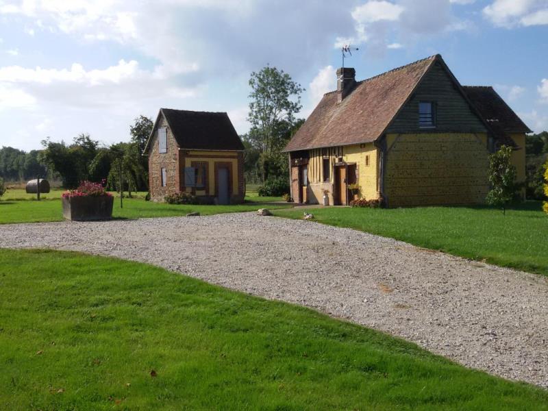 HLONOR061FS00093 G570 cbf4d033a3f949f58d2c950d1ef7ea5d