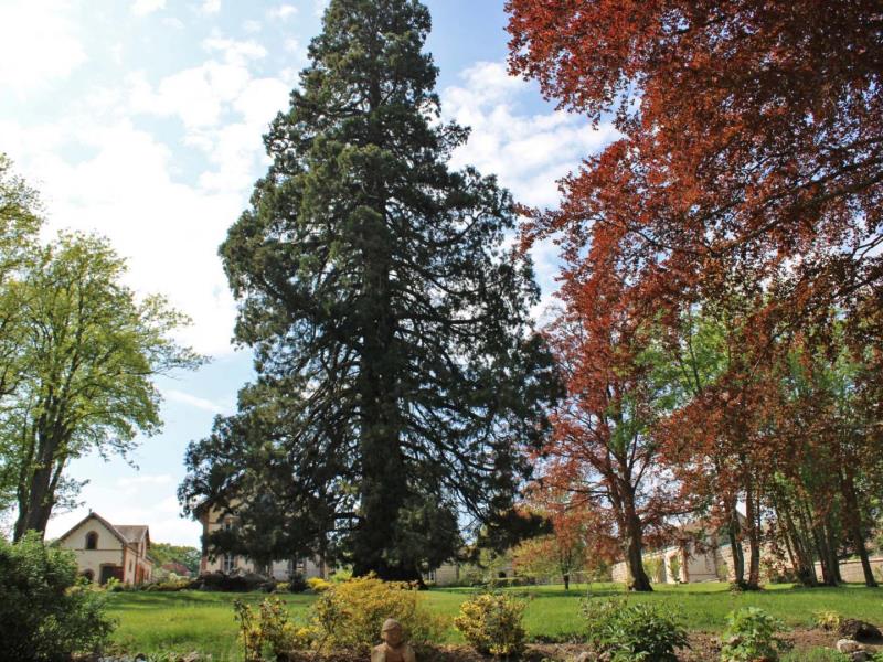 HLONOR061V506RA5 G803 f5a5aae31475464d93c25f44383ba219