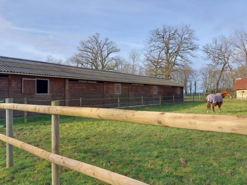 HLONOR061V50ECIO G988 3f4f594f12744be3bd08ffe4fac01059