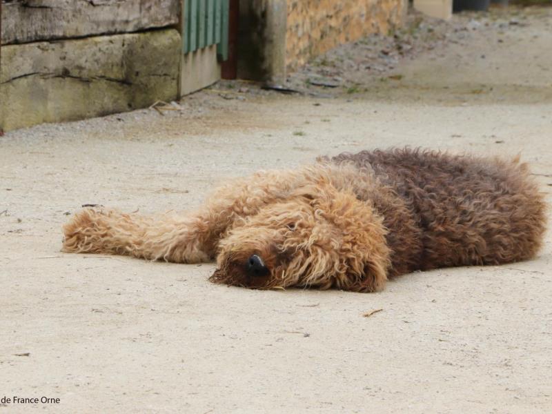 HLONOR061V50ECIO G988 474b1a9eb83b4c6784194f3331ab38fd