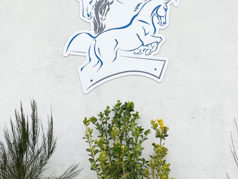 HLONOR061V50ECIO G988 f3d64bd5c0284fa7b5ad61aac4b62525