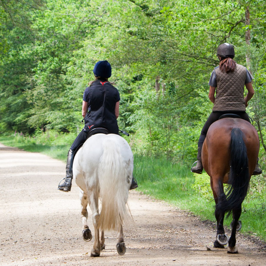 Randonnees equestres Damgan La Roche Bernard Morbihan carre
